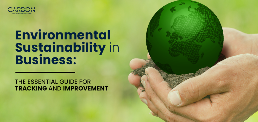 Environmental Sustainability in Business