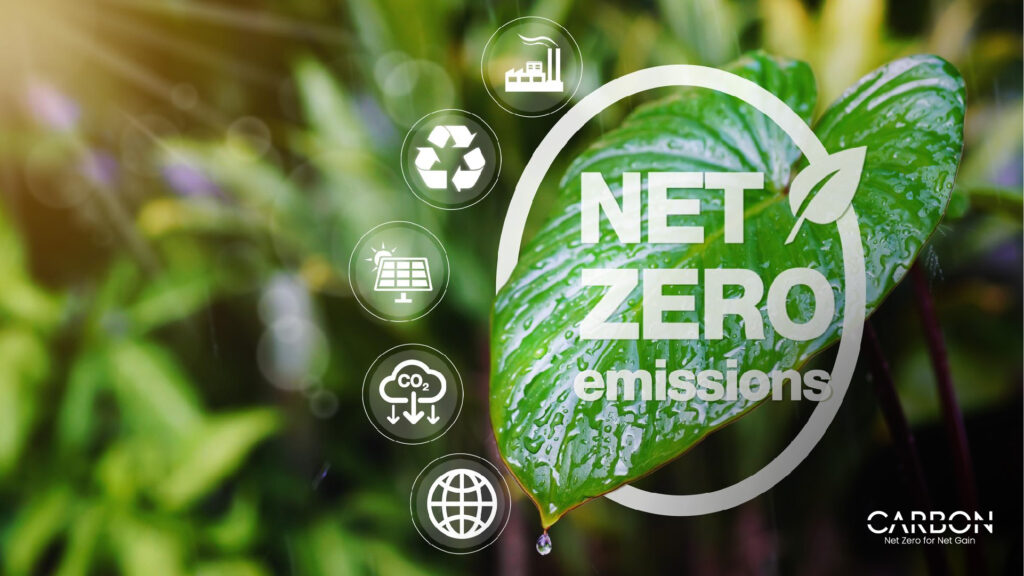 Roadmap to Achieving Net Zero