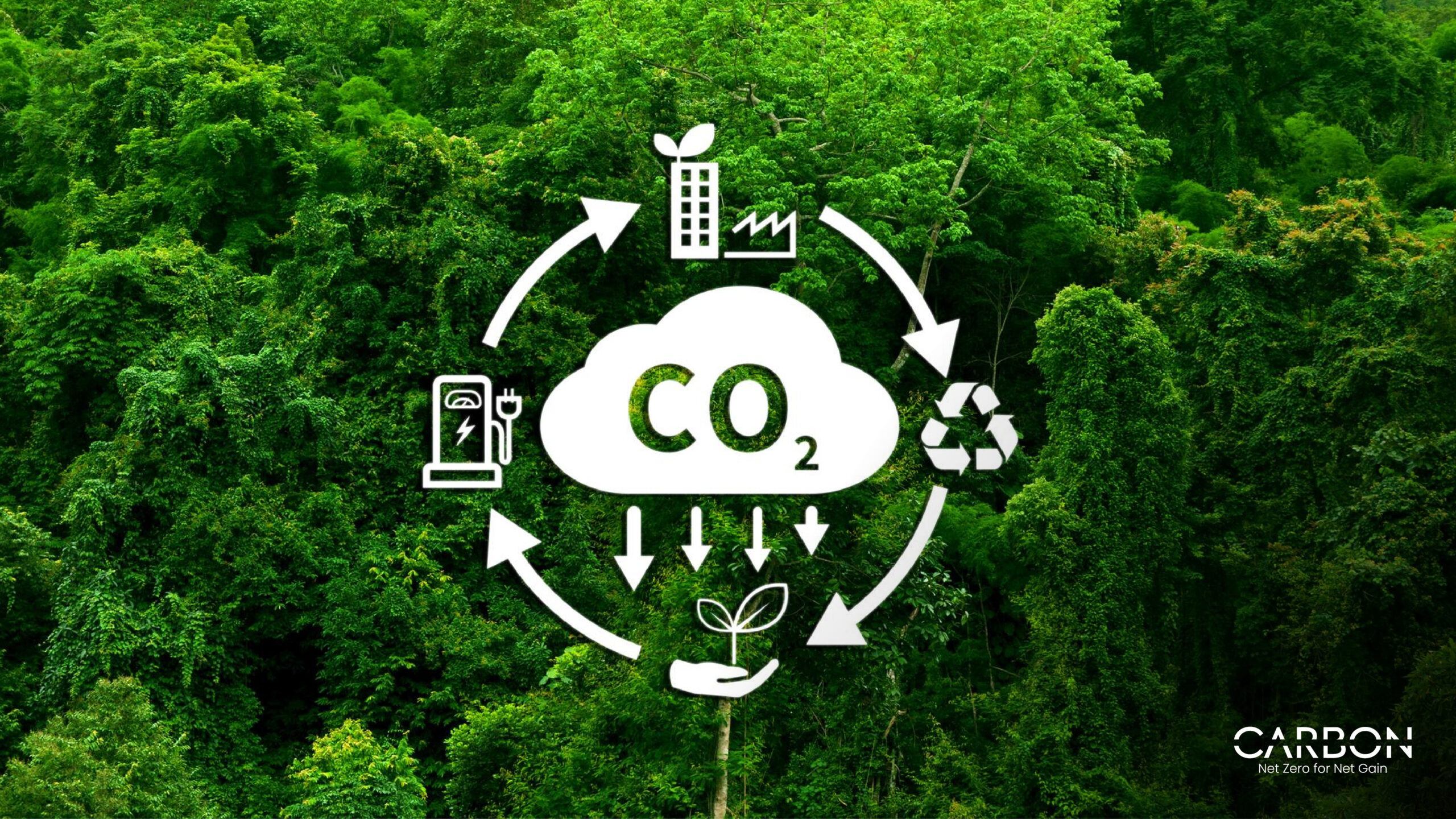 Carbon Neutrality