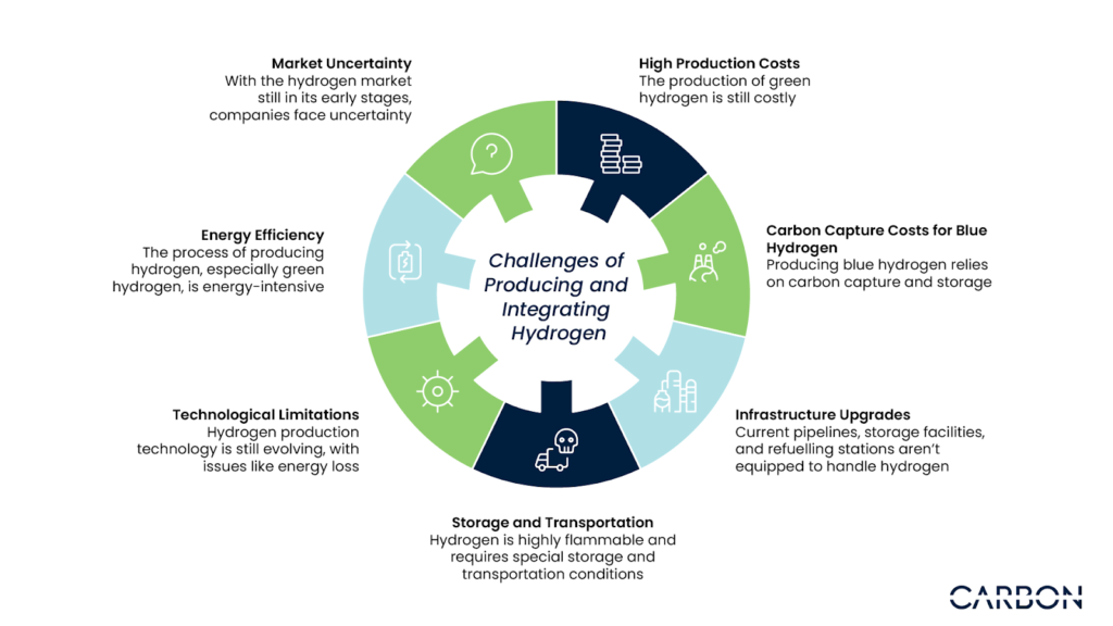 Challenges of Producing and Integrating Hydrogen for Sustainable Energy Management