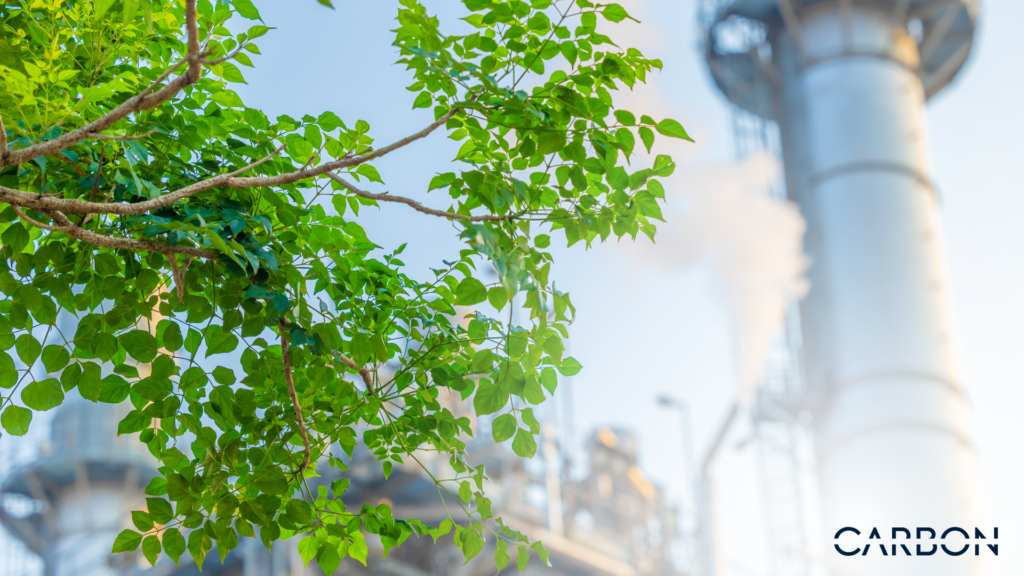 Smoke emitting from a factory with vegetation closeby showing the direct impact of uncontrolled industrialisation.