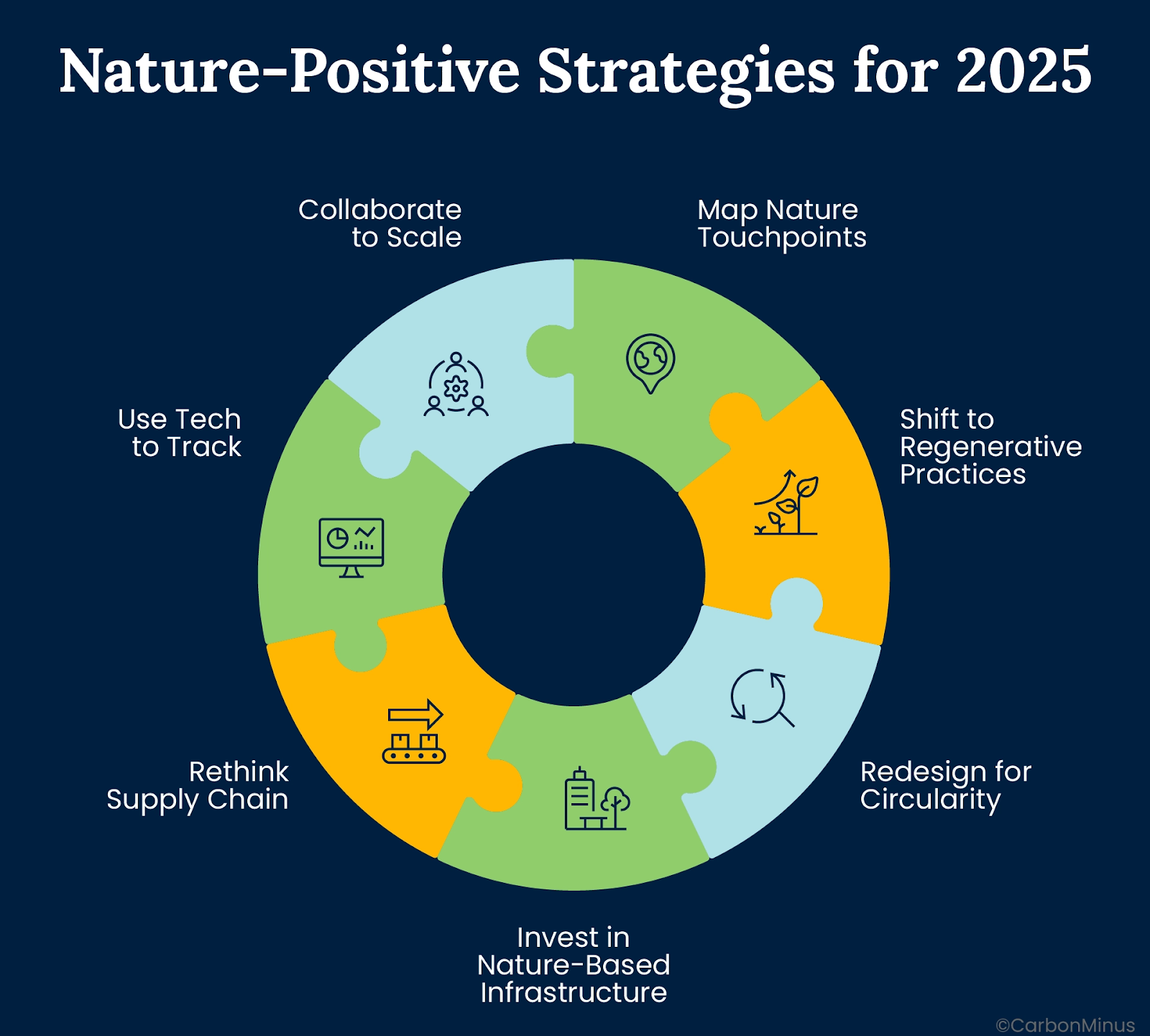 The Nature-Positive Playbook: Strategies for 2025 and Beyond
