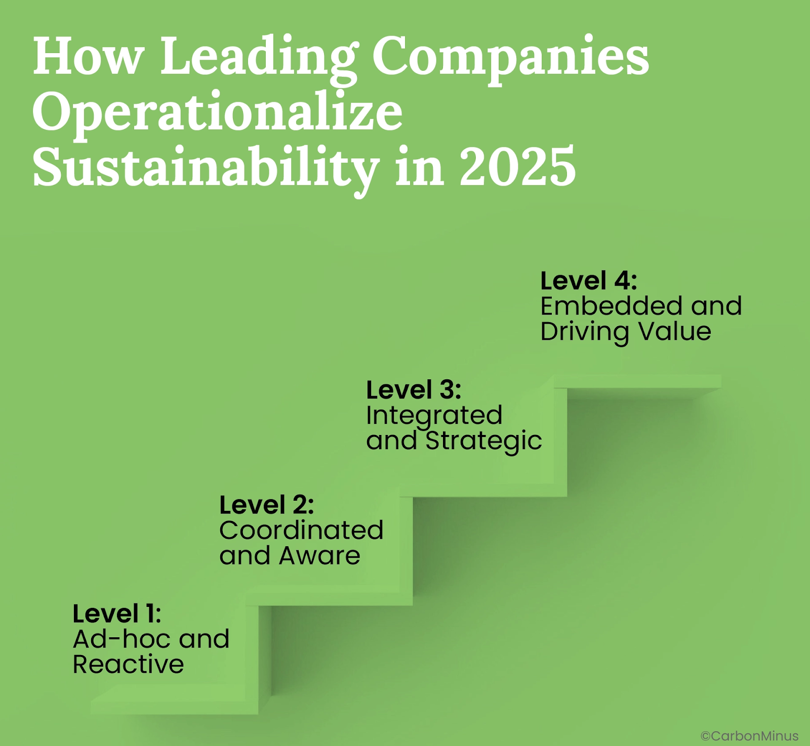 How Leading Companies Operationalize Sustainability in 2025