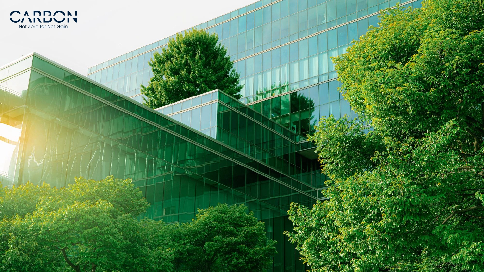 hree Global Shifts Every Business Leader Should Be Watching