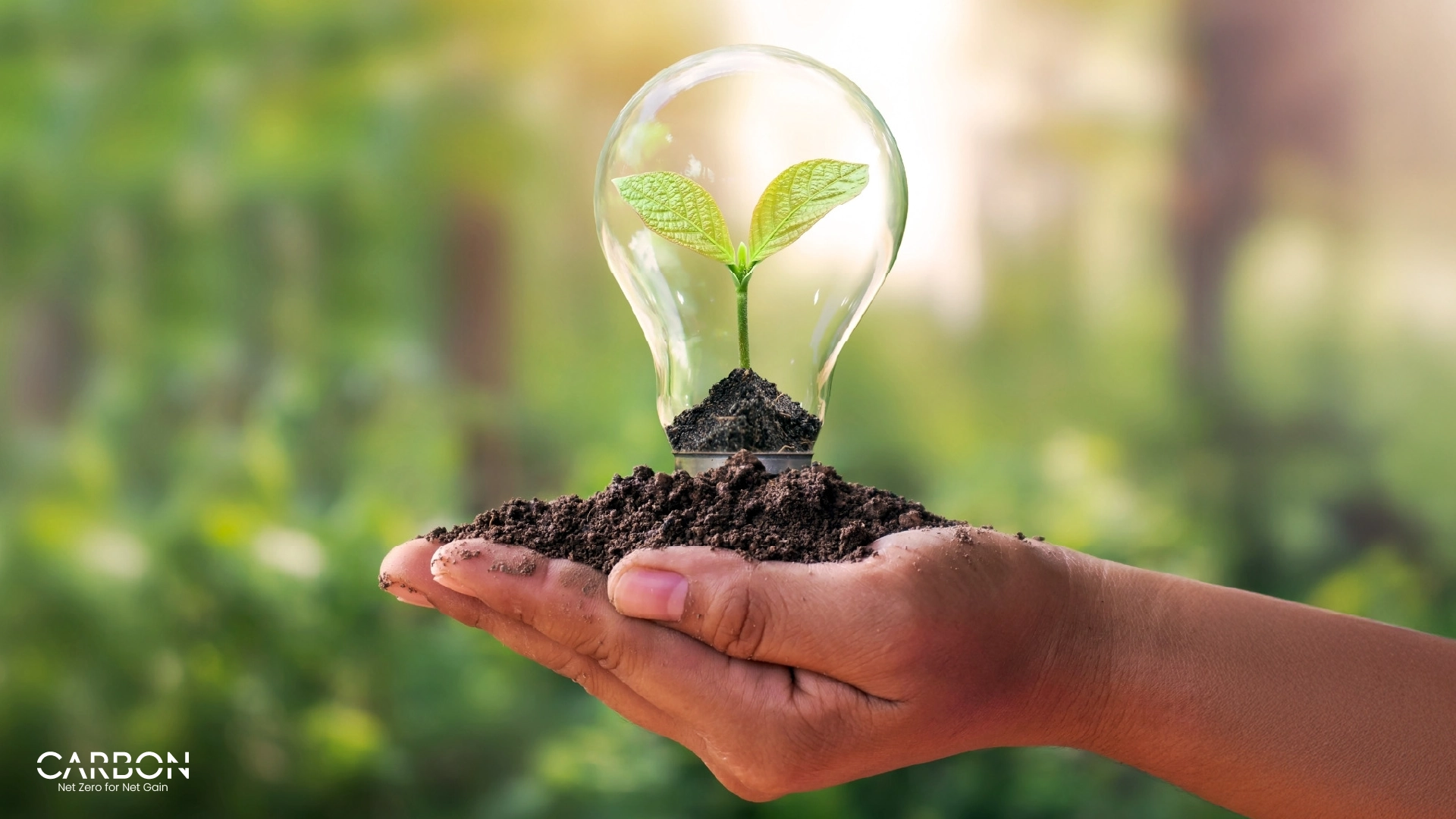 What We’re Learning About Sustainability. And Why It’s Expanding