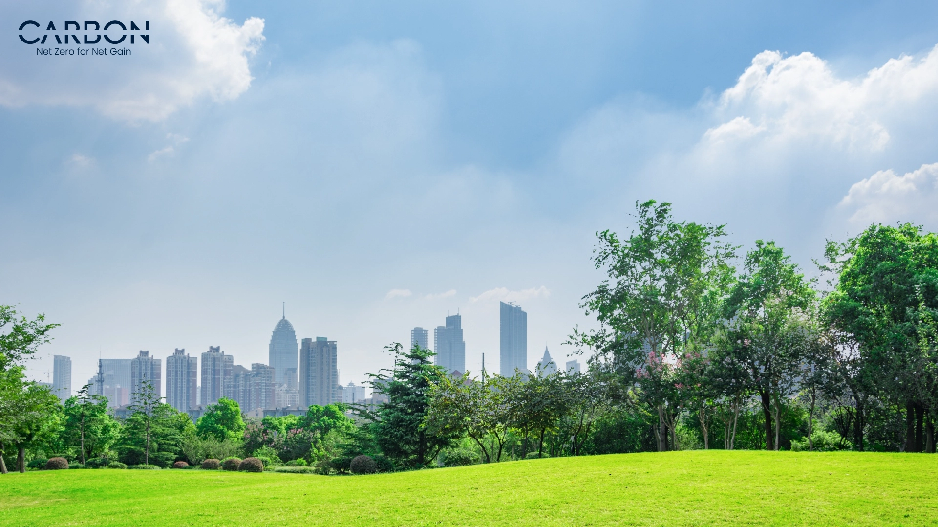 Green city park with trees and open grass in the foreground, modern skyscrapers in the background, showing what is possible in a world that prioritizes sustainability.