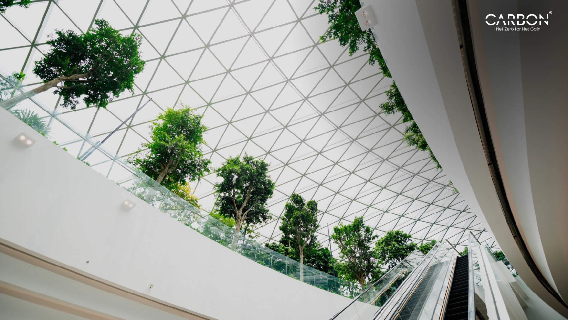 2025 Sustainability Trends That Actually Matter for Your Business