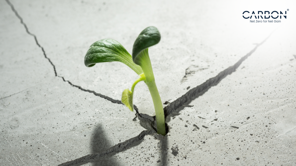 How Sustainability Leaders Unlock Economic Value