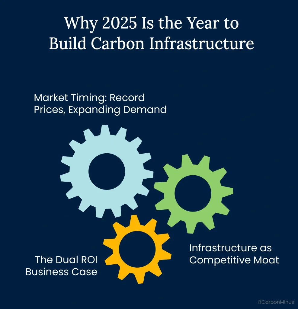 Why 2025 Is the Year to Build Carbon Infrastructure